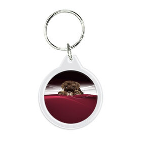 Брелок круглый с принтом Щенок в Ухте, пластик и полированная сталь | круглая форма, металлическое крепление в виде кольца | 