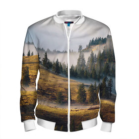 Мужской бомбер 3D Туман в горах: в Ухте, 100% полиэстер | застегивается на молнию, по бокам два кармана без застежек, по низу бомбера и на воротнике - эластичная резинка | пейзаж