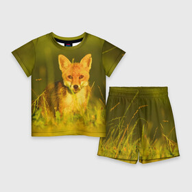 Детский костюм с шортами 3D с принтом Лисичка в Ухте,  |  | животные | лиса | поле | природа
