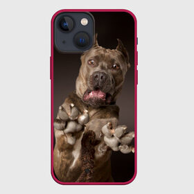 Чехол для iPhone 13 mini с принтом Дог в Ухте,  |  | animal | breed | brown | dog | fear | jump | legs | throw | бросок | дог | животное | испуг | коричневый | лапы | порода | прыжок | собака