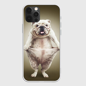 Чехол для iPhone 12 Pro Max с принтом Бульдог английский в Ухте, Силикон |  | animals | breed | dog | english bulldog | funny | joke | pants | surrealism | бульдог английский | животное | порода | прикол | собака | сюрреализм | шутка