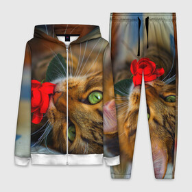 Женский костюм 3D с принтом Кошечка в Ухте,  |  | животные | кот | кошка | милая