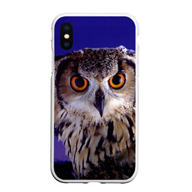 Чехол для iPhone XS Max матовый с принтом Сова в ночи в Ухте, Силикон | Область печати: задняя сторона чехла, без боковых панелей | животные | ночь | птица | сова