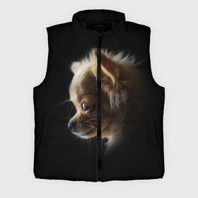 Мужской жилет утепленный 3D с принтом Чихуахуа в Ухте,  |  | голова животного | прикольные картинки | собака | чихуахуа | щенок