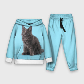 Детский костюм 3D (с толстовкой) Кот мейн кун: в Ухте,  |  | котенок | мейнкун