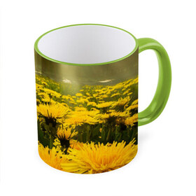 Кружка 3D с принтом Цветочная поляна в Ухте, керамика | ёмкость 330 мл | лес | поляна | прикольные картинки | цветочки | цветы