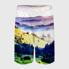 Детские спортивные шорты 3D Альпы: в Ухте,  100% полиэстер
 | пояс оформлен широкой мягкой резинкой, ткань тянется
 | горы | зелень | лето | природа | солнце | туман