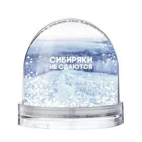 Снежный шар с принтом Сибирь в Ухте, Пластик | Изображение внутри шара печатается на глянцевой фотобумаге с двух сторон | сибирь