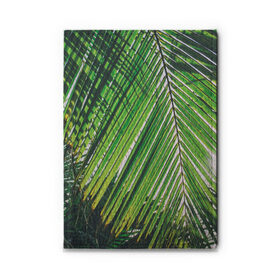 Обложка для автодокументов пальмы: в Ухте, натуральная кожа |  размер 19,9*13 см; внутри 4 больших “конверта” для документов и один маленький отдел — туда идеально встанут права | sea | summer | берег | лето | море | океан | отдых | пальмы | пляж | солнце