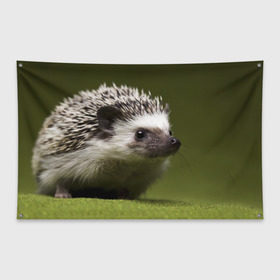 Флаг-баннер с принтом Ежик в Ухте, 100% полиэстер | размер 67 х 109 см, плотность ткани — 95 г/м2; по краям флага есть четыре люверса для крепления | еж | ежик | животные