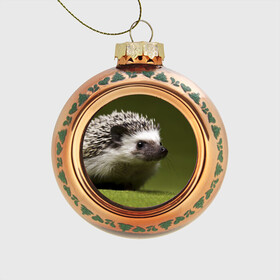 Стеклянный ёлочный шар с принтом Ежик в Ухте, Стекло | Диаметр: 80 мм | Тематика изображения на принте: еж | ежик | животные