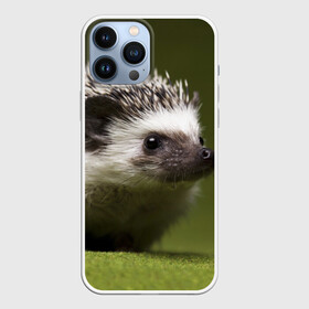 Чехол для iPhone 13 Pro Max с принтом Ежик в Ухте,  |  | еж | ежик | животные