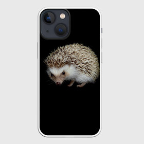 Чехол для iPhone 13 mini с принтом Ежик 2 в Ухте,  |  | еж | ежик | животные