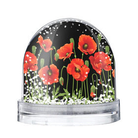 Снежный шар с принтом Маки в Ухте, Пластик | Изображение внутри шара печатается на глянцевой фотобумаге с двух сторон | field | flowers | meadow | poppies | red | white | белые | красные | луг | маки | поле | полевые | цветы