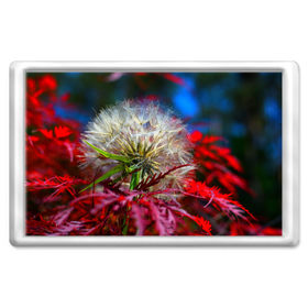 Магнит 45*70 Одуванчик: в Ухте, Пластик | Размер: 78*52 мм; Размер печати: 70*45 | 3д | новая | одуванчик | популярная | природа | цветы | яркая