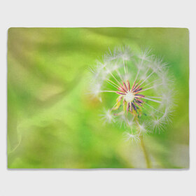 Плед 3D с принтом Одуванчик в Ухте, 100% полиэстер | закругленные углы, все края обработаны. Ткань не мнется и не растягивается | лепесток | новая | одуванчик | природа | цветок | яркая