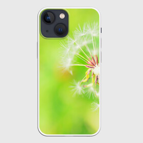 Чехол для iPhone 13 mini с принтом Одуванчик в Ухте,  |  | лепесток | новая | одуванчик | природа | цветок | яркая
