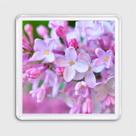 Магнит 55*55 Сирень: в Ухте, Пластик | Размер: 65*65 мм; Размер печати: 55*55 мм | лепестки | прикольные картинки | цветочки | цветы