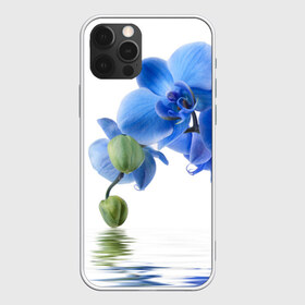 Чехол для iPhone 12 Pro Max с принтом Веточка орхидеи в Ухте, Силикон |  | Тематика изображения на принте: ветка | красота | нежность | орхидея | природа | растение | фауна | цветок | цветы