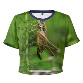 Женская футболка 3D укороченная Кузнечик: в Ухте, 100% полиэстер | круглая горловина, длина футболки до линии талии, рукава с отворотами | насекомые. кузнечик | природа | стебель