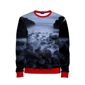 Детский свитшот 3D с принтом Туманный берег в Ухте, 100% полиэстер | свободная посадка, прямой крой, мягкая тканевая резинка на рукавах и понизу свитшота | 