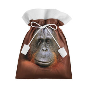 Подарочный 3D мешок Обезьяна: в Ухте, 100% полиэстер | Размер: 29*39 см | животные | о.м.с.к. | обезьяна | орангутанг