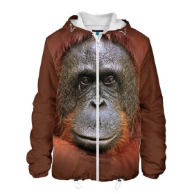 Мужская куртка 3D Обезьяна: в Ухте, ткань верха — 100% полиэстер, подклад — флис | прямой крой, подол и капюшон оформлены резинкой с фиксаторами, два кармана без застежек по бокам, один большой потайной карман на груди. Карман на груди застегивается на липучку | животные | о.м.с.к. | обезьяна | орангутанг