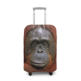 Чехол для чемодана 3D Обезьяна: в Ухте, 86% полиэфир, 14% спандекс | двустороннее нанесение принта, прорези для ручек и колес | животные | о.м.с.к. | обезьяна | орангутанг