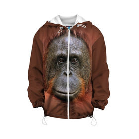 Детская куртка 3D Обезьяна: в Ухте, 100% полиэстер | застежка — молния, подол и капюшон оформлены резинкой с фиксаторами, по бокам — два кармана без застежек, один потайной карман на груди, плотность верхнего слоя — 90 г/м2; плотность флисового подклада — 260 г/м2 | животные | о.м.с.к. | обезьяна | орангутанг