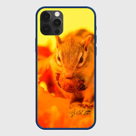 Чехол для iPhone 12 Pro Max с принтом Белка в Ухте, Силикон |  | белка | животные | орех