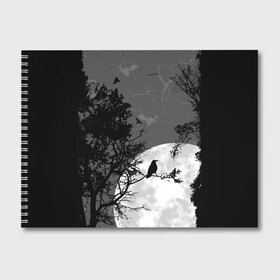 Альбом для рисования с принтом Черный ворон в Ухте, 100% бумага
 | матовая бумага, плотность 200 мг. | Тематика изображения на принте: ворон | луна | новинки | ночь | полнолуние | природа | птица
