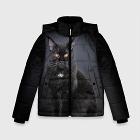 Зимняя куртка для мальчиков 3D с принтом Мейн-кун 3 в Ухте, ткань верха — 100% полиэстер; подклад — 100% полиэстер, утеплитель — 100% полиэстер | длина ниже бедра, удлиненная спинка, воротник стойка и отстегивающийся капюшон. Есть боковые карманы с листочкой на кнопках, утяжки по низу изделия и внутренний карман на молнии. 

Предусмотрены светоотражающий принт на спинке, радужный светоотражающий элемент на пуллере молнии и на резинке для утяжки | кот | котенок | котик | котэ | кошка | мейн кун | мейнкун | мэйн кун | мэйнкун