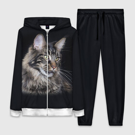 Женский костюм 3D Мейн кун 5: в Ухте,  |  | кот | котенок | котик | котэ | кошка | мейн кун | мейнкун | мэйн кун | мэйнкун