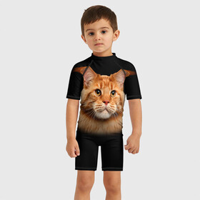 Детский купальный костюм 3D Мейн-кун 6: в Ухте, Полиэстер 85%, Спандекс 15% | застежка на молнии на спине | кот | котенок | котик | котэ | кошка | мейн кун | мейнкун | мэйн кун | мэйнкун