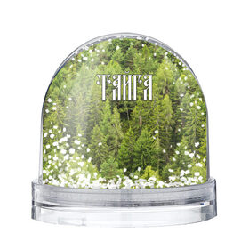 Снежный шар с принтом Тайга в Ухте, Пластик | Изображение внутри шара печатается на глянцевой фотобумаге с двух сторон | ветви | ветки | деревья | лес | охота | охотник | природа | туризм | турист