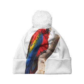 Шапка 3D c помпоном с принтом Попугай в Ухте, 100% полиэстер | универсальный размер, печать по всей поверхности изделия | 