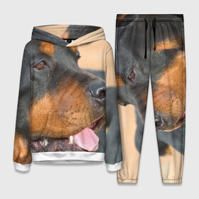 Женский костюм 3D (с толстовкой) с принтом Ротвейлер в Ухте,  |  | большая | пес | песик | псина | ротвейлер | ротвейлеры | собака | собаки