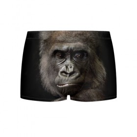 Мужские трусы 3D с принтом Взгляд в Ухте, 50% хлопок, 50% полиэстер | классическая посадка, на поясе мягкая тканевая резинка | взгляд | голова | животные | обезьяна | природа