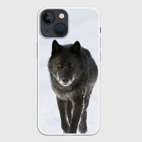 Чехол для iPhone 13 mini с принтом Черный волк в Ухте,  |  | дикий | зима