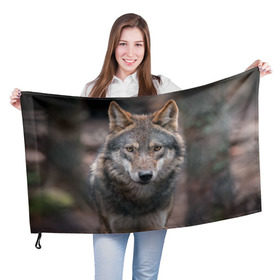 Флаг 3D с принтом Wolf в Ухте, 100% полиэстер | плотность ткани — 95 г/м2, размер — 67 х 109 см. Принт наносится с одной стороны | зверь | лес