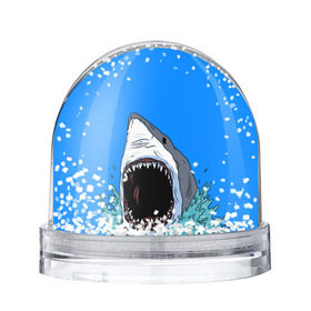 Снежный шар с принтом shark в Ухте, Пластик | Изображение внутри шара печатается на глянцевой фотобумаге с двух сторон | fish | ocean | shark | water | акула | море | океан | рыба