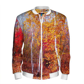 Мужской бомбер 3D с принтом Берёзы в Ухте, 100% полиэстер | застегивается на молнию, по бокам два кармана без застежек, по низу бомбера и на воротнике - эластичная резинка | Тематика изображения на принте: 