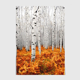 Постер с принтом Березовая роща в Ухте, 100% бумага
 | бумага, плотность 150 мг. Матовая, но за счет высокого коэффициента гладкости имеет небольшой блеск и дает на свету блики, но в отличии от глянцевой бумаги не покрыта лаком | birch | birch grove | ferns | forest | trees | березовая | березы | деревья | лес | папоротник | роща