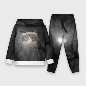 Детский костюм 3D (с толстовкой) Grumpy Cat: в Ухте,  |  | кот | мем | угрюмый