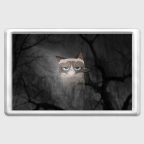 Магнит 45*70 Grumpy Cat: в Ухте, Пластик | Размер: 78*52 мм; Размер печати: 70*45 | кот | мем | угрюмый