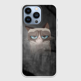 Чехол для iPhone 13 Pro Grumpy Cat: в Ухте,  |  | кот | мем | угрюмый