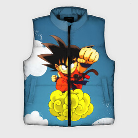Мужской жилет утепленный 3D Kid: в Ухте,  |  | anime | dragon ball | goku | аниме | вегета | гоку | драконий жемчуг | жемчуг дракона