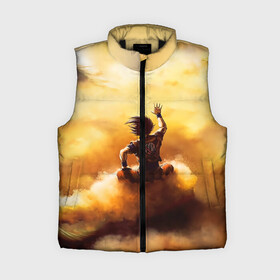 Женский жилет утепленный 3D Cloud: в Ухте,  |  | anime | dragon ball | goku | аниме | вегета | гоку | драконий жемчуг | жемчуг дракона