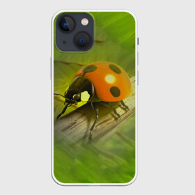 Чехол для iPhone 13 mini с принтом Божья коровка в Ухте,  |  | божья коробка | букашка | жук | природа