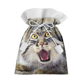 Подарочный 3D мешок с принтом Дикий кот в Ухте, 100% полиэстер | Размер: 29*39 см | Тематика изображения на принте: animal | cat | eyes | jaws | predator | teeth | wild | взгляд | дикий | животное | клыки | кот | пасть | хищник